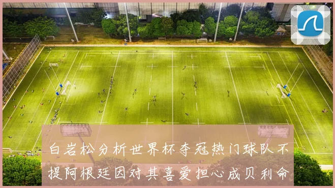 白岩松分析世界杯夺冠热门球队不提阿根廷因对其喜爱担心成贝利命运